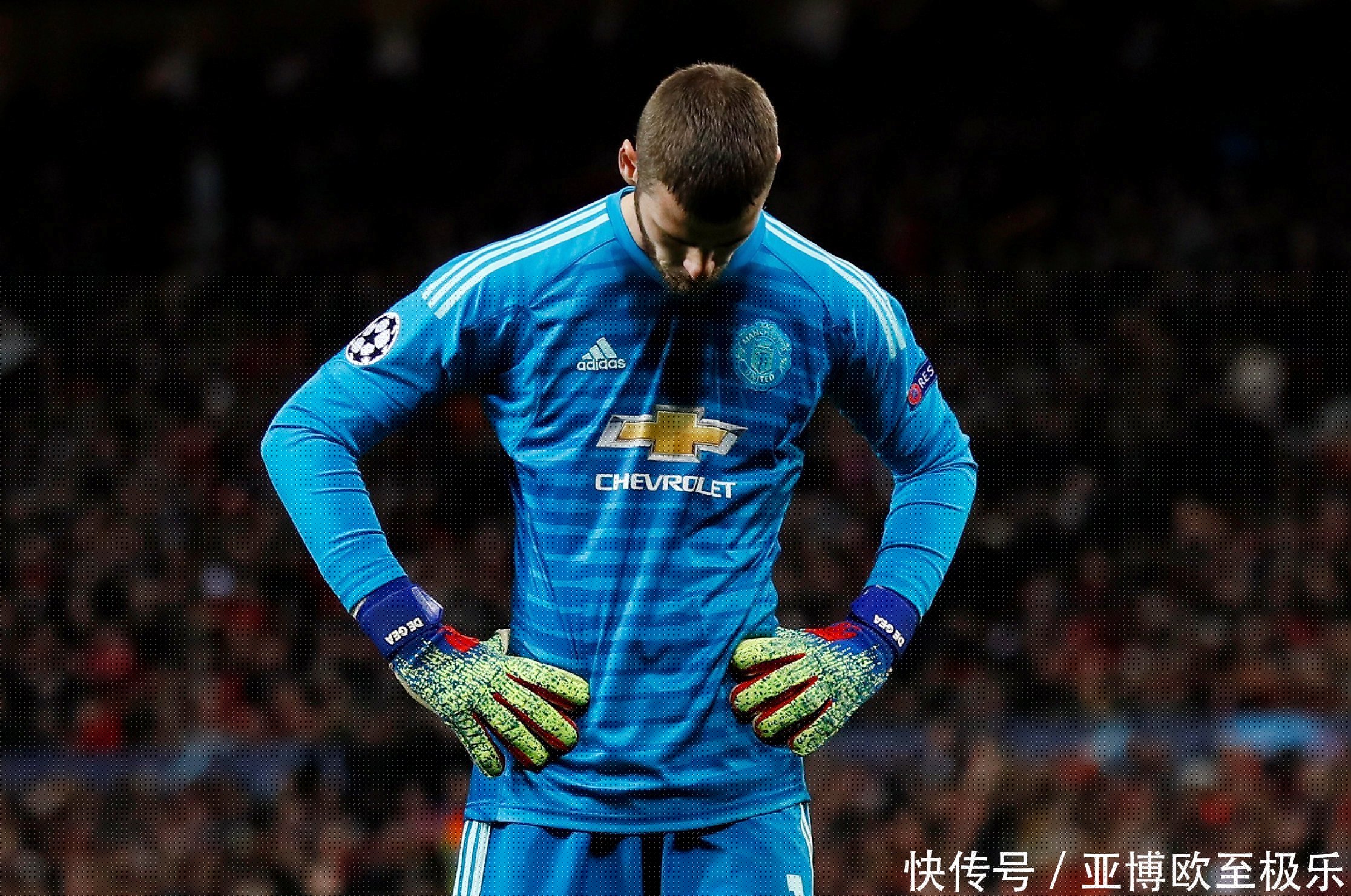 口口相传，行业认可